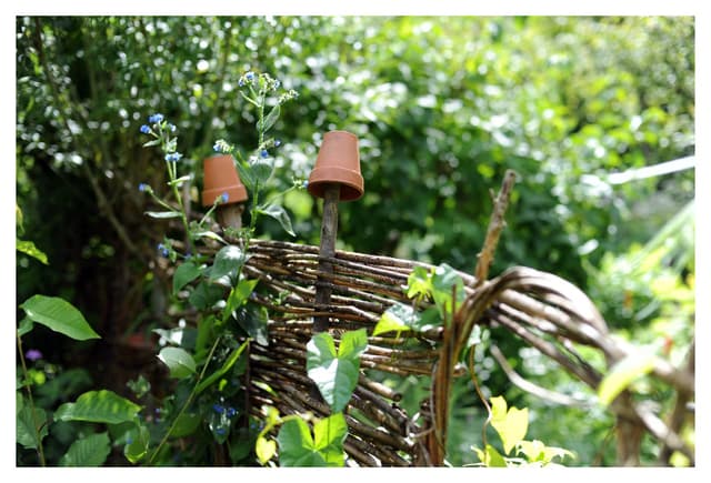 Twigs Community Gardens