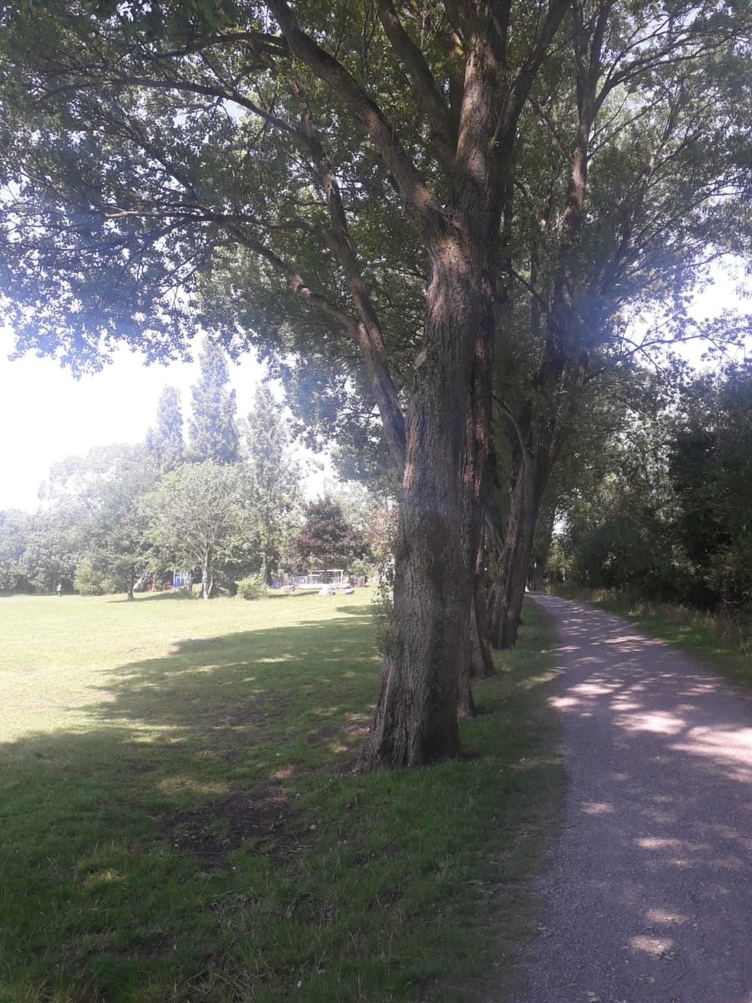 Mannington Rec, Swindon - image 2