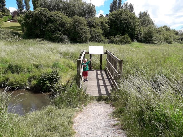 Rushey Platt Nature Reserve
